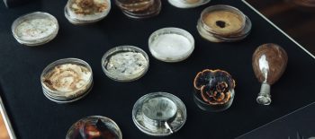 569011269_1407252871405006_6260184055007642805_n