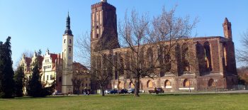 exotiktee-church-ruins-234514