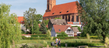 Zrzut ekranu 2026-06-18 154608