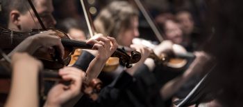pexels-violins-1838390_1920