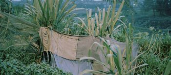 Jan-Brykczynski-scaled