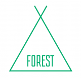 forest_platan_1