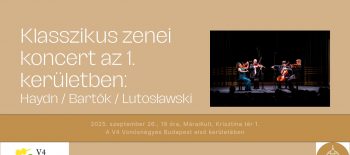 549898747_1417320456535350_7893168987786033004_n