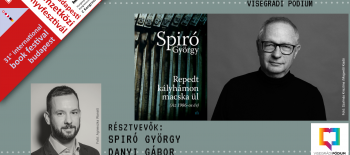 Repedt kályhámon macska ül