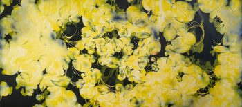 nenufary,olej na plotnie,170x360cm,2026