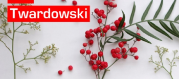 twardowski_strona