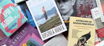 Розкладені на рівній поверхні різні польські книжки