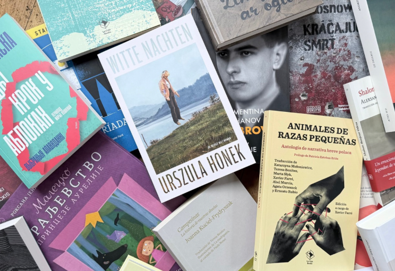 Розкладені на рівній поверхні різні польські книжки