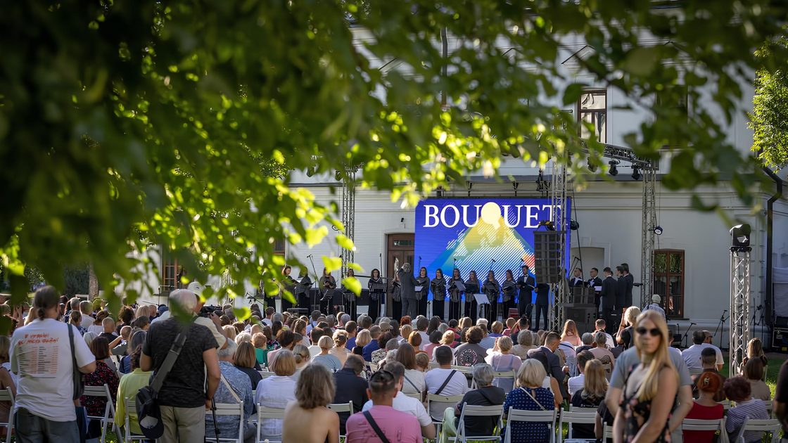 Глядачі на концерті просто неба під деревом