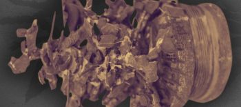 2025-09-19 AUSSTELLUNG Die schrecklichen Blumen des Kriegs – Poster_strona