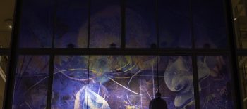 Winter Light 25-26 Credit Pete Woodhead-25