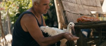 TheTaleOfSilyan_UHD_05