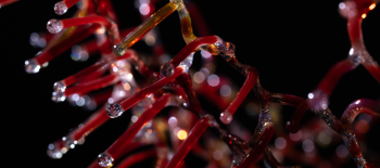 obraz_2026-02-11_121912918