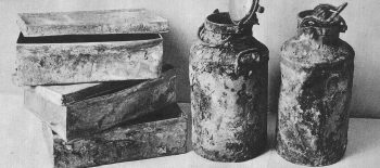 Archiwum_Ringelbluma