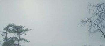 to_nie_moxxj_film_plakat