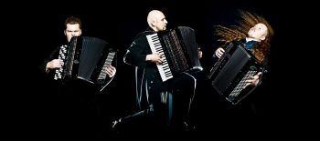 MOTION TRIO fot. Jacek Poremba