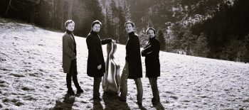 Na černobílé fotografii jsou čtyři muži, členové smyčcového kvarteta Apollon Musagette, jeden z nich má v ruce violoncello v cestovním pouzdře. Fotografie je na louce, v pozadí les a za ním září paprsky slunce. V popředí vystupují stíny postav hudebníků.