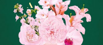 czula-przewodniczka-okladka_609badf22efde8_96876976