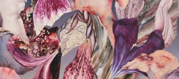 5. Foto ©Paweł Matyszewski