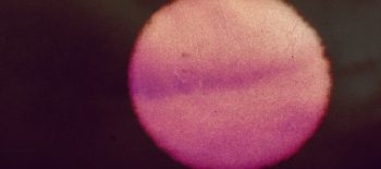 11. Foto_ ©Dr. Rafał Morusiewicz